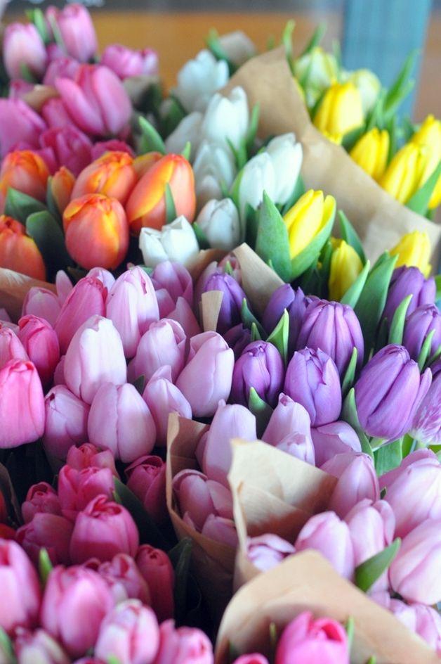 Haal de lente in huis met voorjaarsbloemen