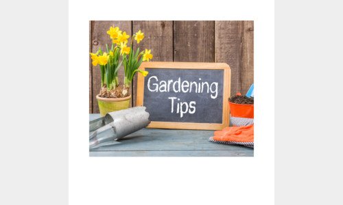 DCM tuintips