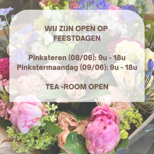 Aangepaste openingstijden 